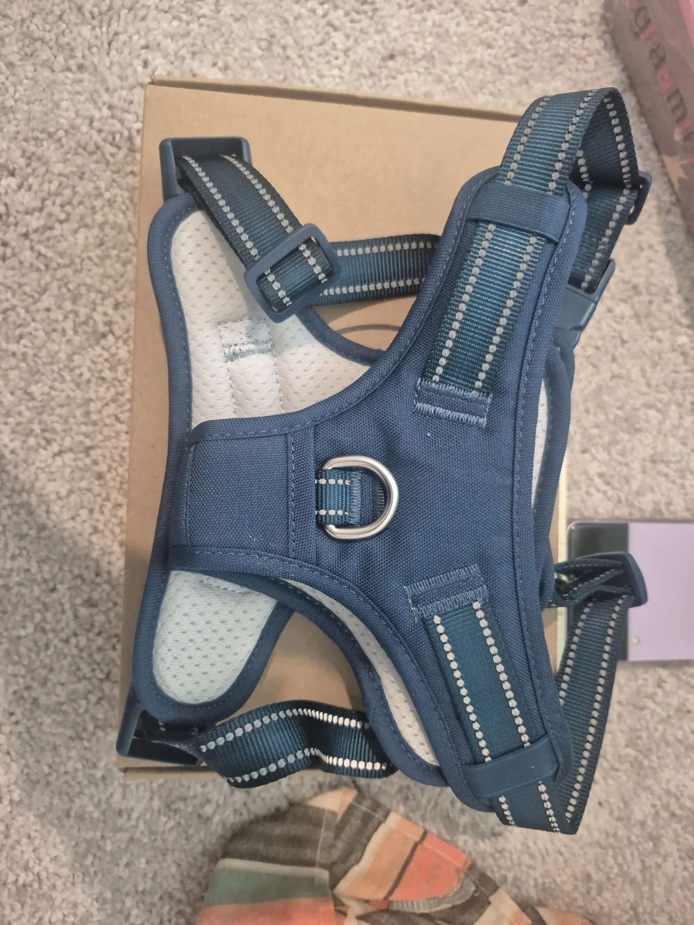 Blue Adjustable Harness Vest Size L- No Brand